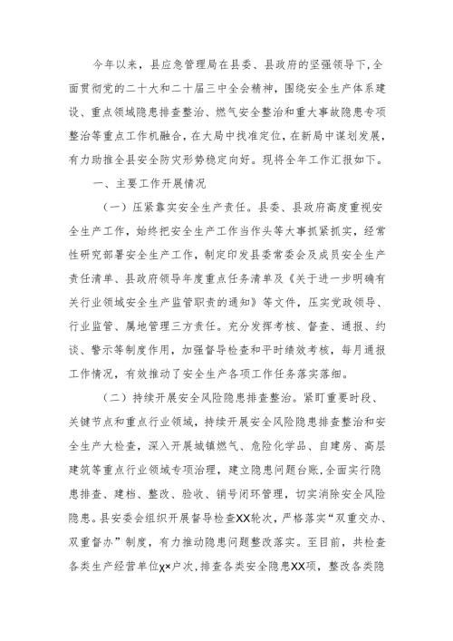 2024年安全生产和应急管理工作总结.docx
