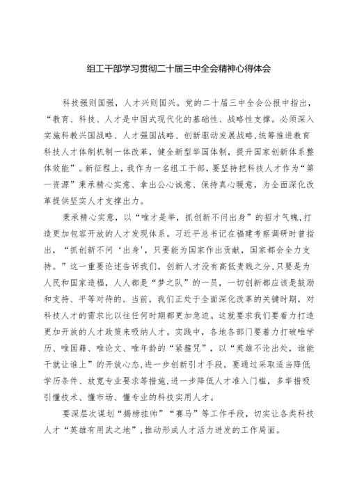 (四篇)组工干部学习贯彻二十届三中全会精神心得体会（详细版）.docx