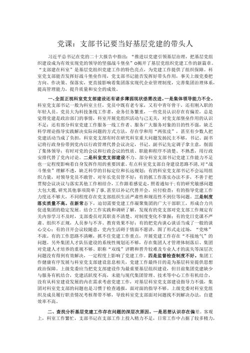 党课：支部书记要当好基层党建的带头人.docx
