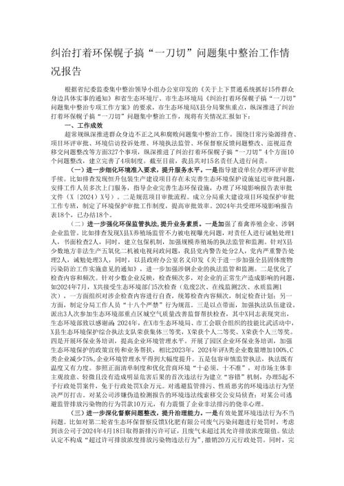 纠治打着环保幌子搞“一刀切”问题集中整治工作情况报告.docx