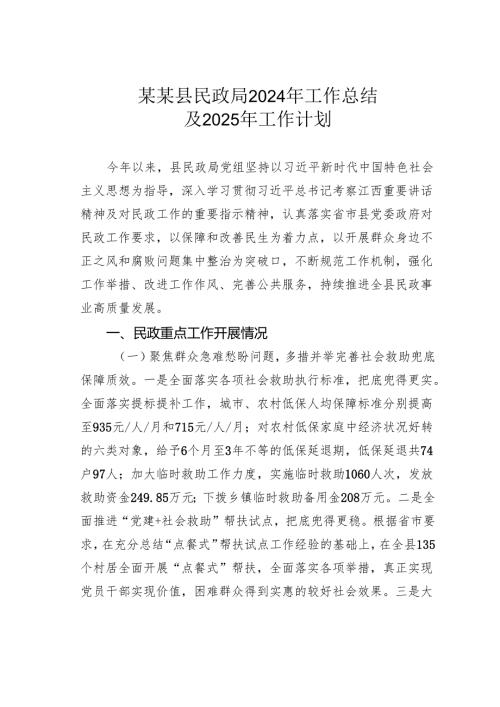 某某县民政局2024年工作总结及2025年工作计划.docx