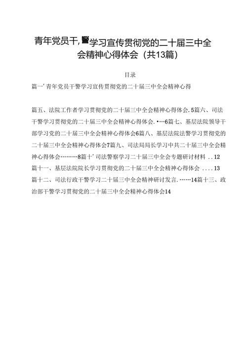 （13篇）青年党员干警学习宣传贯彻党的二十届三中全会精神心得体会（精选）.docx
