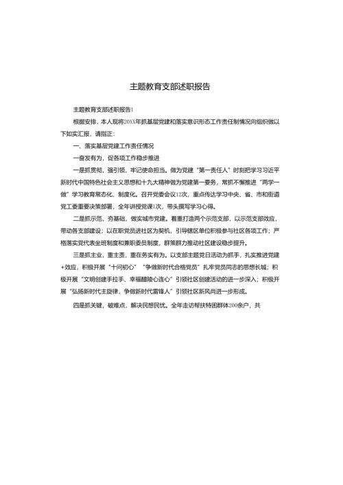 主题教育支部述职报告.docx