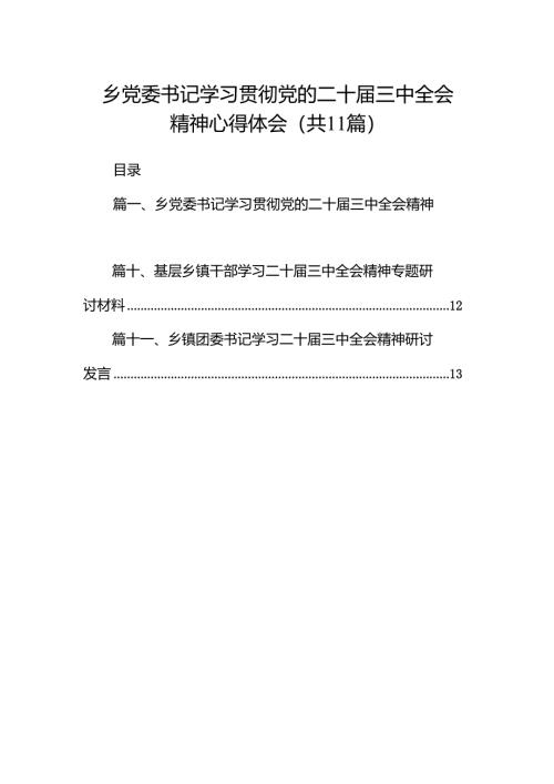 （11篇）乡党委书记学习贯彻党的二十届三中全会精神心得体会合辑.docx