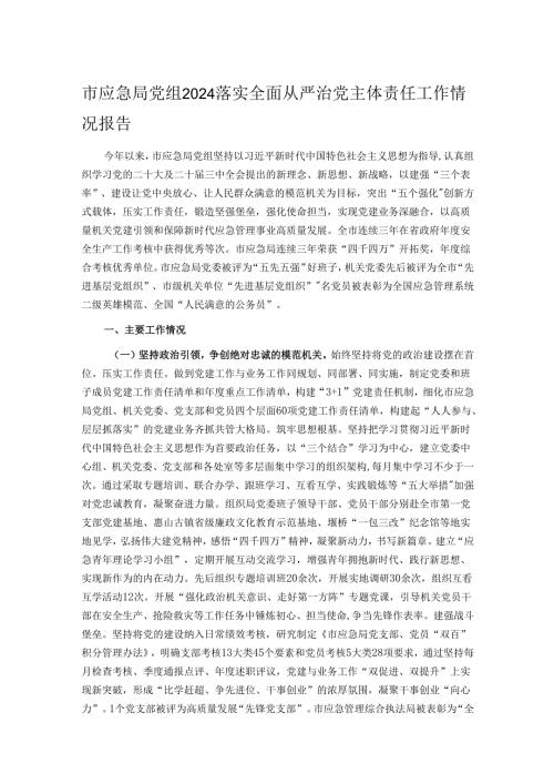 市应急局党组2024落实全面从严治党主体责任工作情况报告.docx