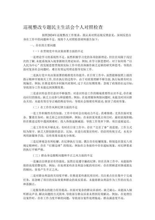巡视整改专题民主生活会个人对照检查.docx