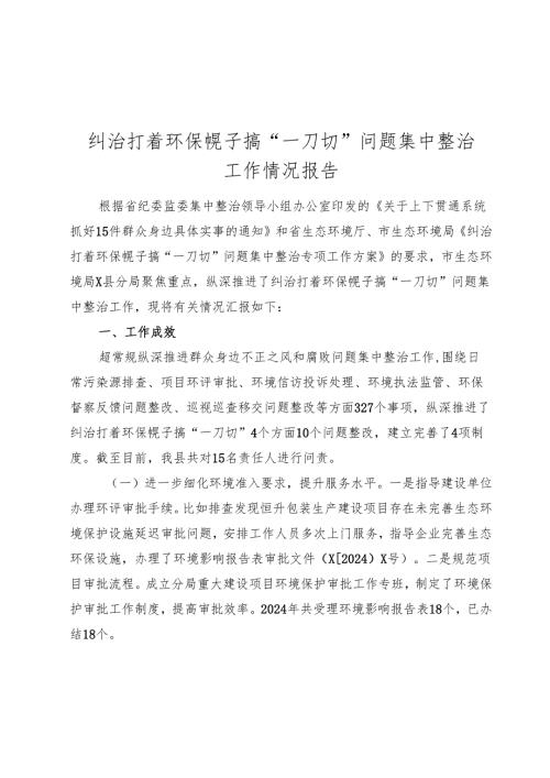 纠治打着环保幌子搞“一刀切”问题集中整治工作情况报告.docx