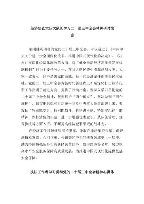 （11篇）经济侦查大队大队长学习二十届三中全会精神研讨发言范文.docx