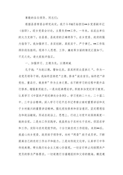 乡镇挂职干部2024年述职述廉报告.docx