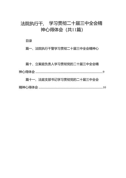 （11篇）法院执行干警学习贯彻二十届三中全会精神心得体会范文.docx
