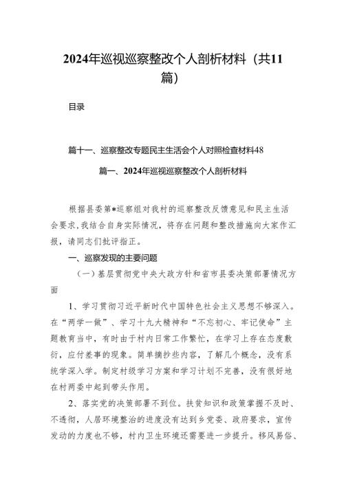 （11篇）2024年巡视巡察整改个人剖析材料模板.docx