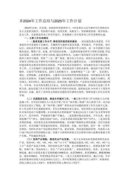 乡2024年工作总结与2025年工作计划.docx