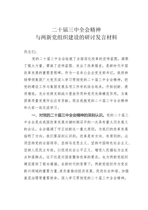 二十届三中全会精神与两新党组织建设的研讨发言材料.docx