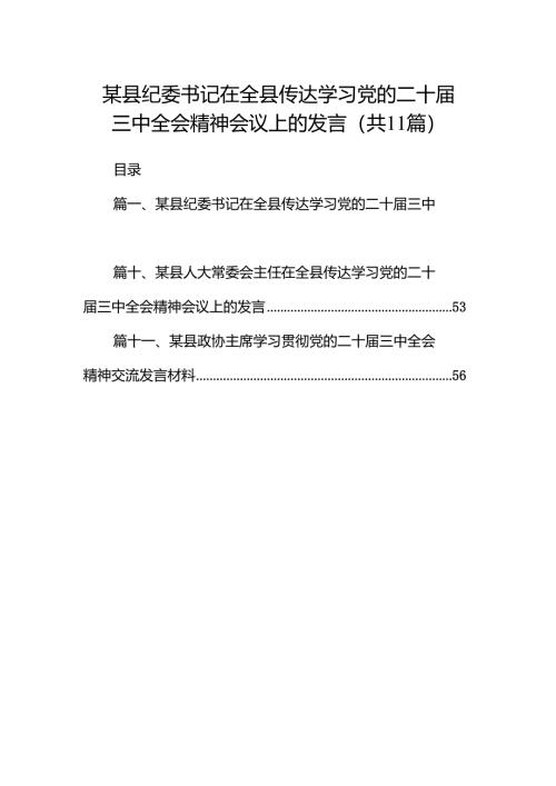 （11篇）某县纪委书记在全县传达学习党的二十届三中全会精神会议上的发言（最新版）.docx