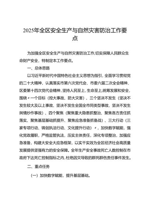 2025年全区安全生产与自然灾害防治工作要点.docx