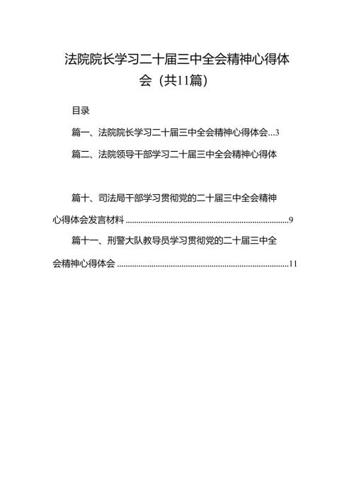 （11篇）法院院长学习二十届三中全会精神心得体会范文.docx