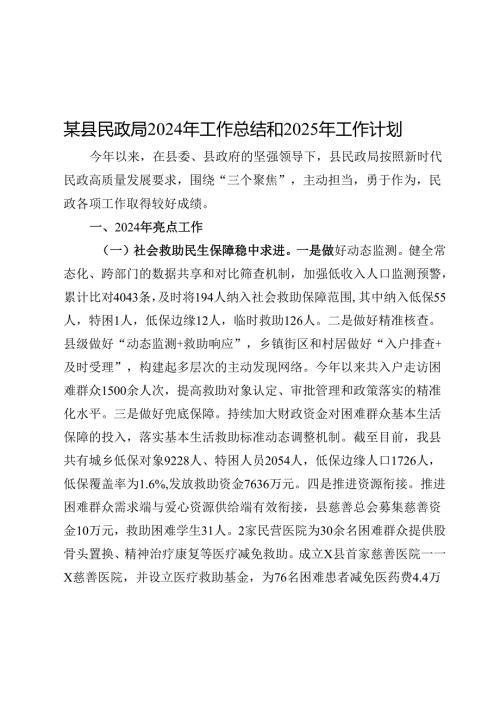 某县民政局2024年工作总结和2025年工作计划.docx