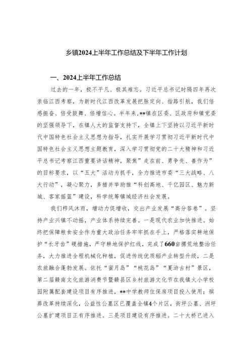 乡镇上半年工作总结及下半年工作计划（共8篇）.docx