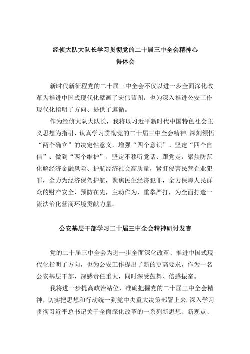 （11篇）经侦大队大队长学习贯彻党的二十届三中全会精神心得体会（最新版）.docx