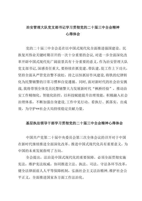 (四篇)治安管理大队党支部书记学习贯彻党的二十届三中全会精神心得体会范文.docx