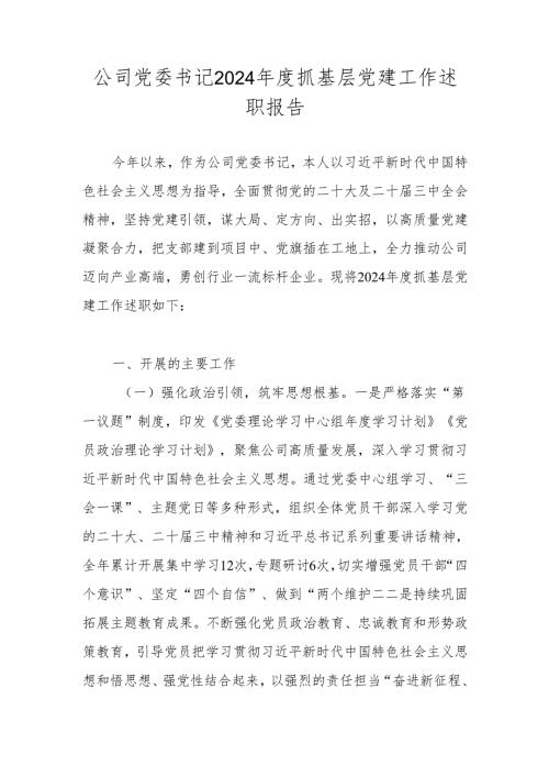 2024年度抓基层党建工作述职报告.docx