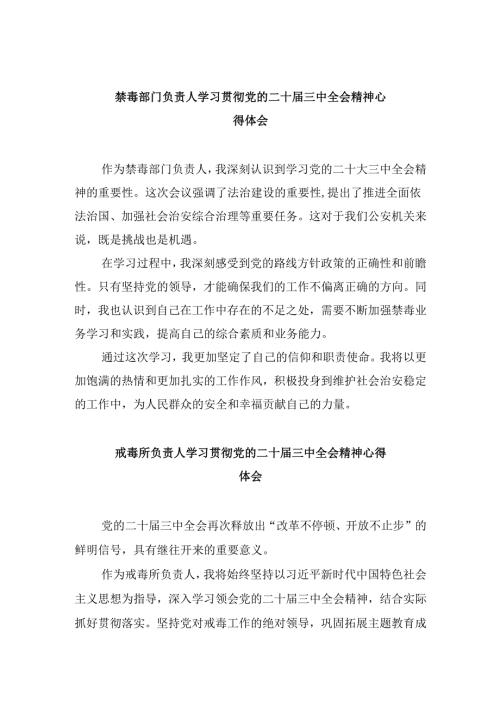 （11篇）禁毒部门负责人学习贯彻党的二十届三中全会精神心得体会（精选）.docx
