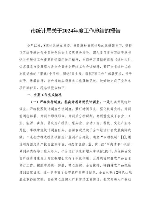 市统计局关于2024年度工作总结的报告.docx