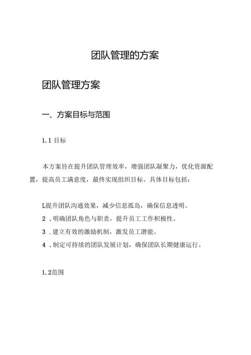 团队管理的方案.docx