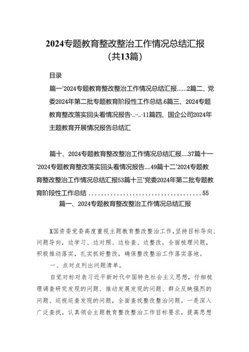 专题教育整改整治工作情况总结汇报13篇（完整版）.docx