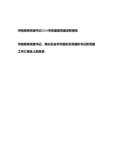 税务局党组党委书记2024年度抓基层党建述职报告和抓党建工作汇报会上的发言.docx