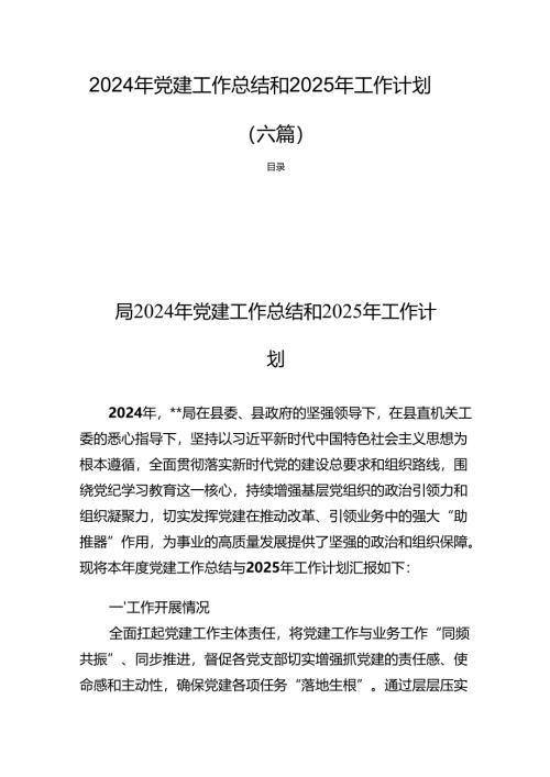2024年党建工作总结和2025年工作计划(六篇).docx