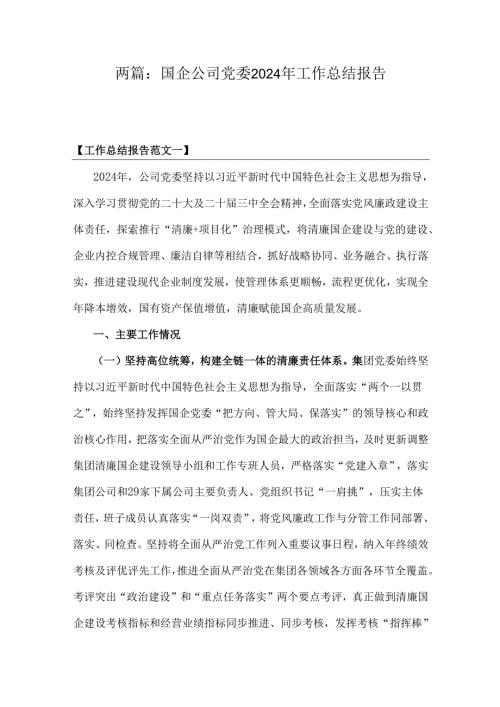 两篇：国企公司党委2024年工作总结报告.docx