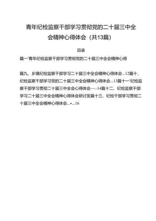 （13篇）青年纪检监察干部学习贯彻党的二十届三中全会精神心得体会（最新版）.docx