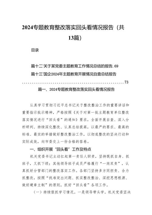 专题教育整改落实回头看情况报告范文精选(13篇).docx