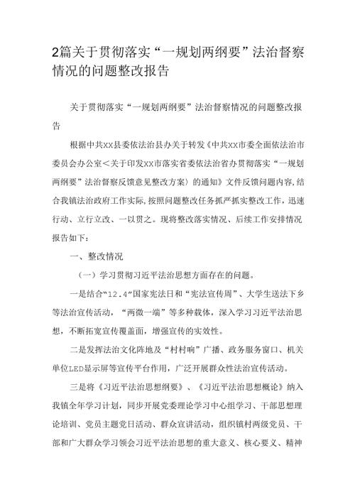 2篇关于贯彻落实“一规划两纲要”法治督察情况的问题整改报告.docx
