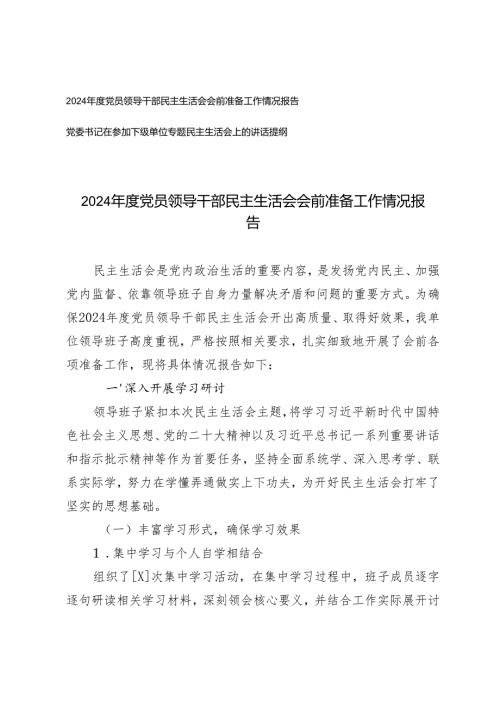 2024年度党员领导干部民主生活会会前准备工作情况报告+党委书记在参加下级单位专题民主生活会上的讲话提纲.docx