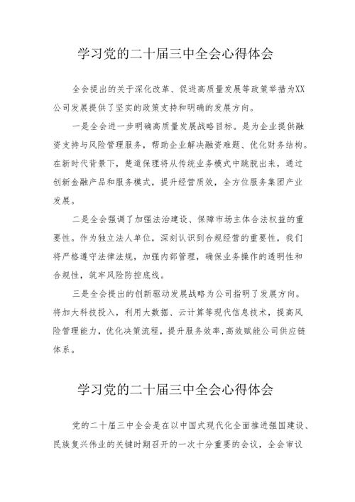 2024年学习学习党的二十届三中全会个人心得感悟 （11份）.docx
