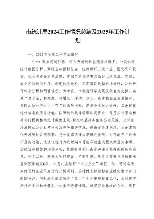 市统计局2024工作情况总结及2025年工作计划.docx
