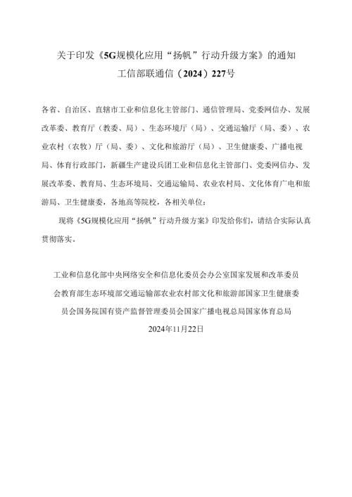 5G规模化应用“扬帆”行动升级方案（2024年）.docx