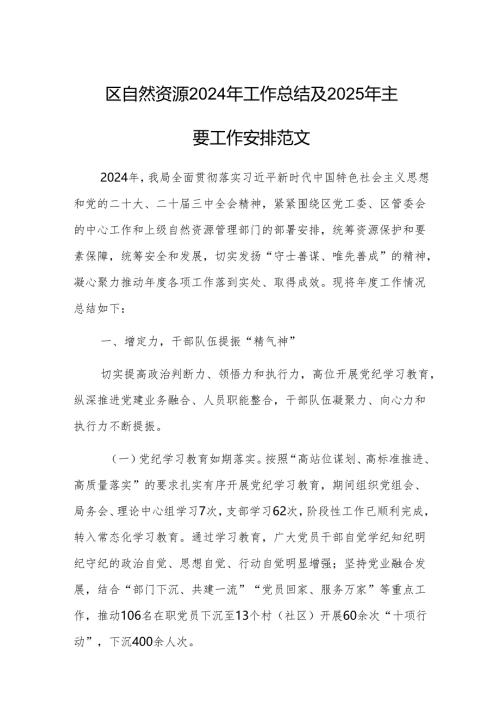 区自然资源2024年工作总结及2025年主要工作安排范文.docx