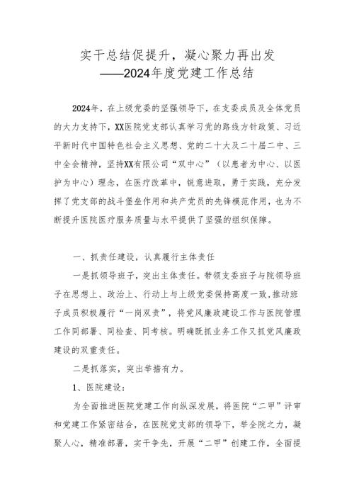 2024年度医院党建工作总结（实干总结促提升凝心聚力再出发）.docx