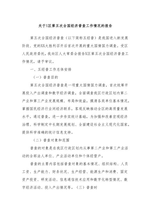 关于X区第五次全国经济普查工作情况的报告.docx