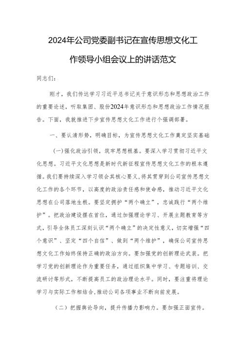 2024年公司党委副书记在宣传思想文化工作领导小组会议上的讲话范文.docx