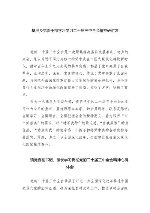 （9篇）基层乡党委干部学习学习二十届三中全会精神研讨发言（详细版）.docx