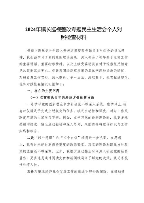 2024年X镇长巡视整改专题民主生活会个人对照检查材料.docx