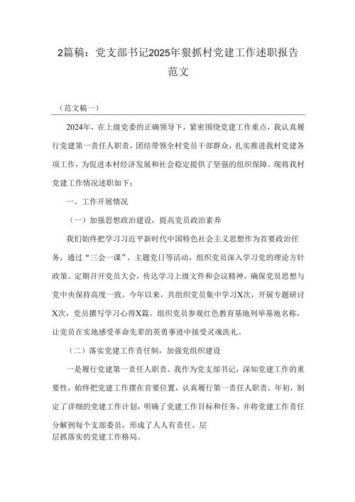 2篇稿：党支部书记2025年狠抓村党建工作述职报告范文.docx