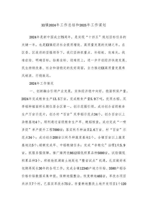 XX镇2024年工作总结和2025年工作谋划.docx