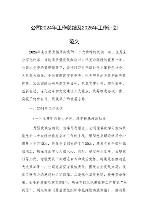 公司2024年工作总结及2025年工作计划范文.docx