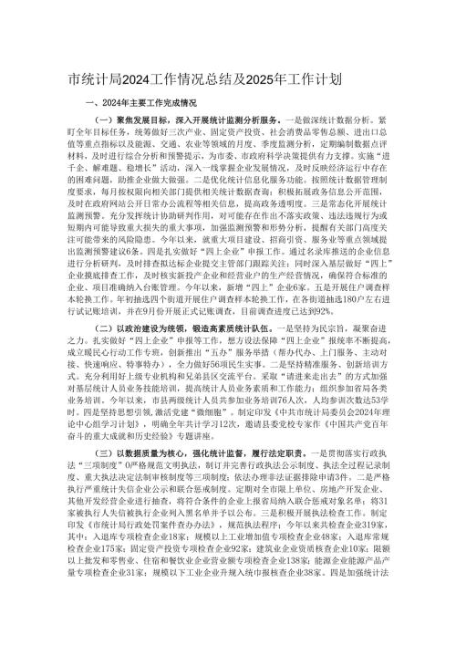市统计局2024工作情况总结及2025年工作计划.docx