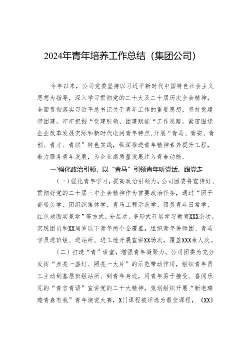 2024年青年培养工作总结（集团公司）.docx